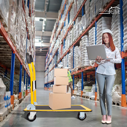 CARRITO PLEGABLE DE CARGA HASTA 150 KG